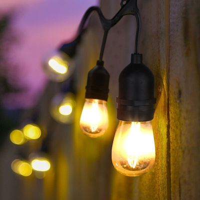 페스톤 그랜드 라이트 LED 맑은 전구 벨트 라이트 저전압 조명 스트랜드