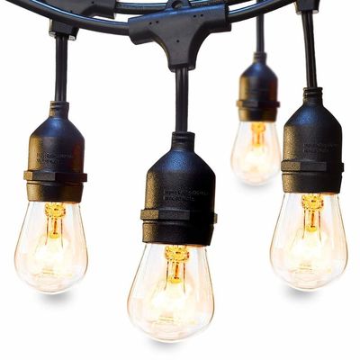 페스톤 그랜드 라이트 LED 맑은 전구 벨트 라이트 저전압 조명 스트랜드
