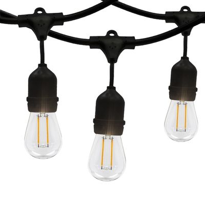 페스톤 그랜드 라이트 LED 맑은 전구 벨트 라이트 저전압 조명 스트랜드